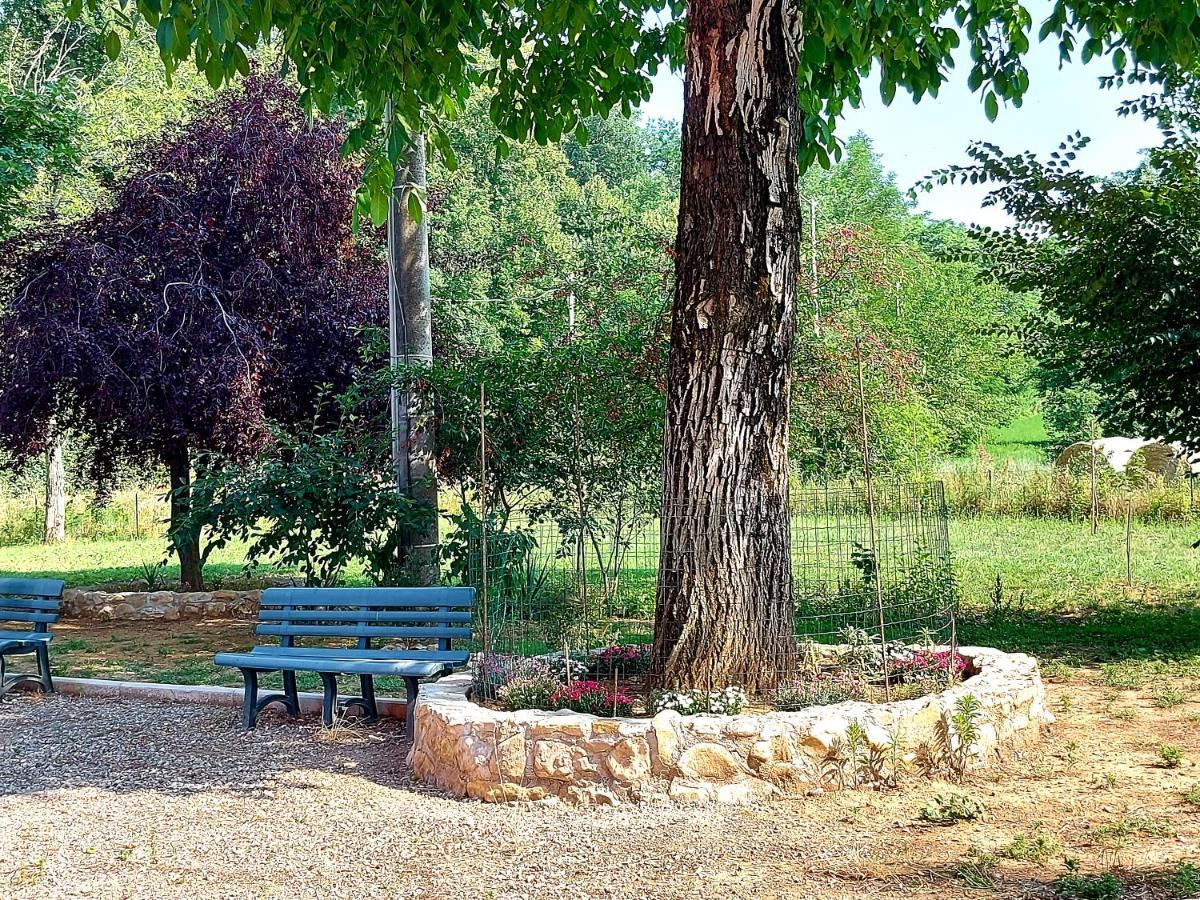 Agriturismo Azienda Agricola Ferrari M.Rita Pozza Dış mekan fotoğraf