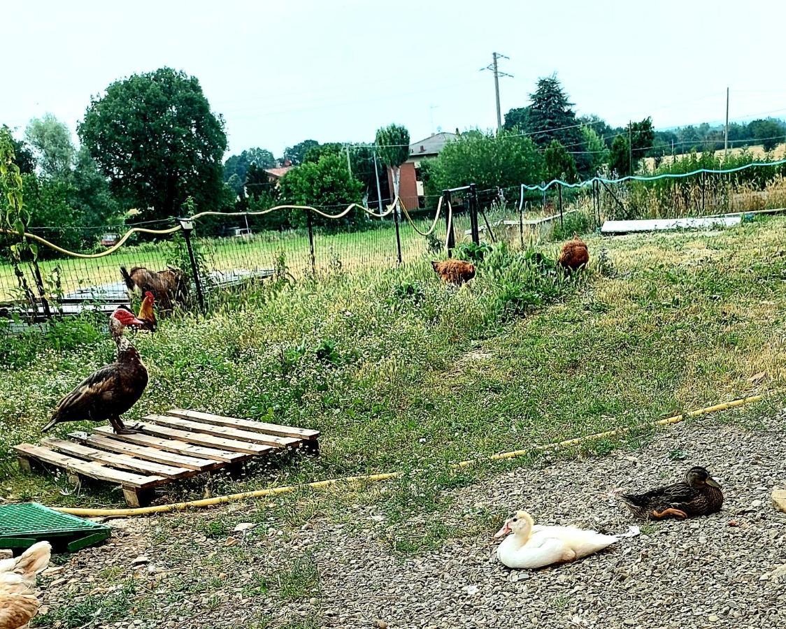Agriturismo Azienda Agricola Ferrari M.Rita Pozza Dış mekan fotoğraf